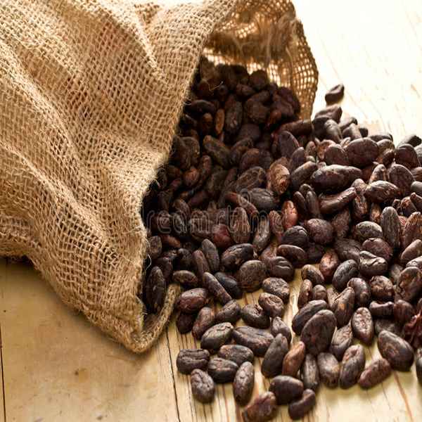 Best Jute Cocoa Been Bags Supplier & Manufacturer